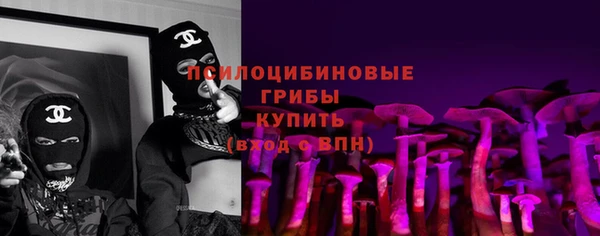 прущая мука Арсеньев