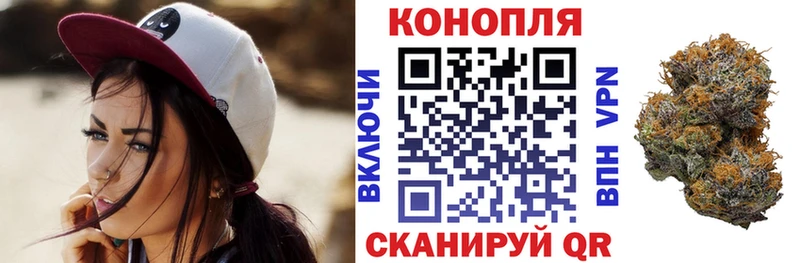 купить наркотик  Дорогобуж  МАРИХУАНА White Widow 